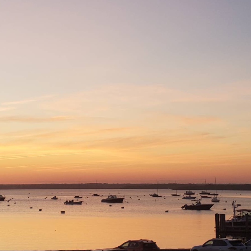 Meet your Posher, Abi